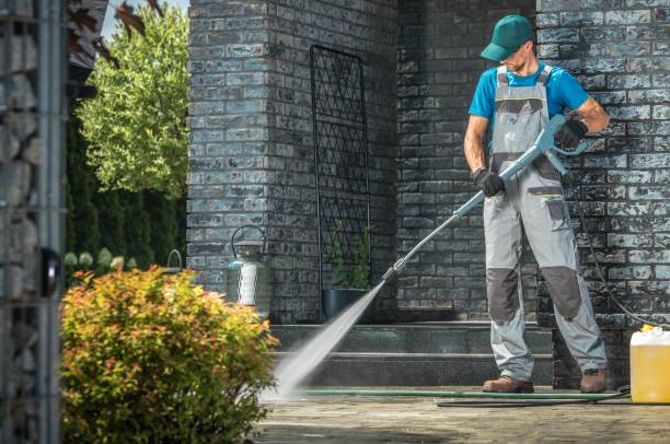 Best Solar Panel Cleaning  in Beaver Dam, WI